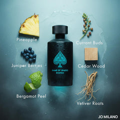 Game Of Spades BOSTON Parfum | 3.4 oz (100ml) (Unisex)