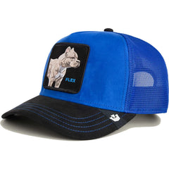 GOORIN 101-2580-ROY02-O/S Suede Pitbull