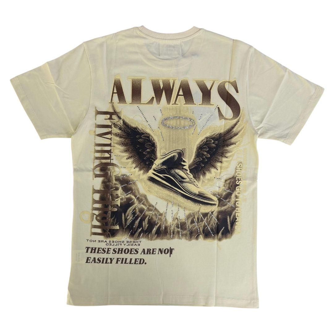 DENIMICITY ALWAYS FLYING HIGH STONED OUT T-SHIRT DNM-2504BEIGE