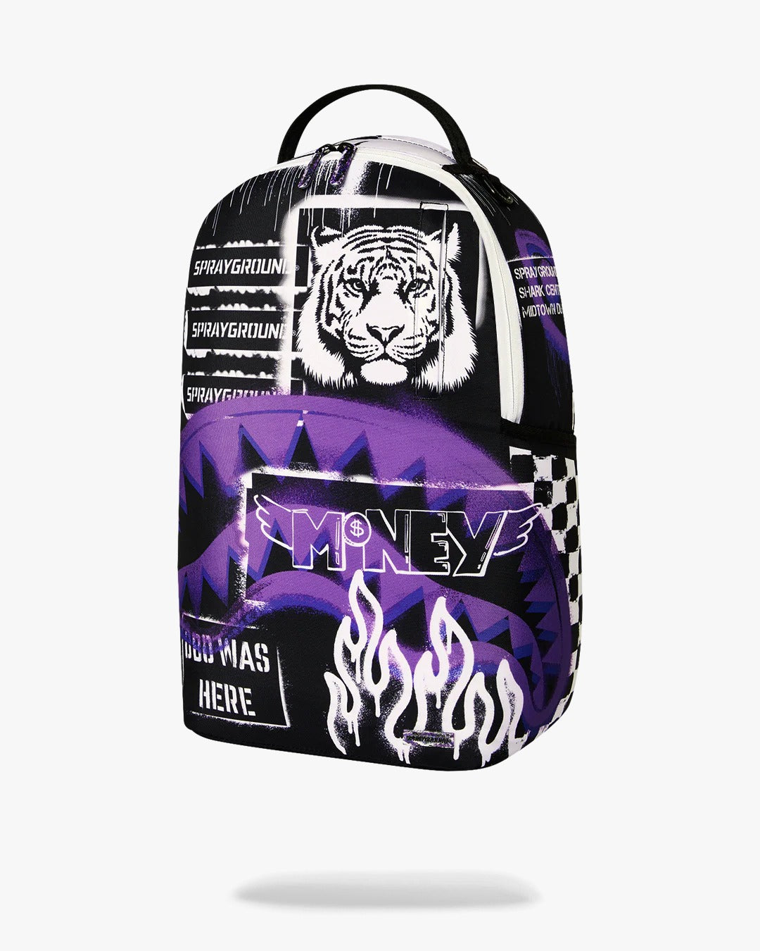 APRAY GROUND CITY CANVAS BACKPACK