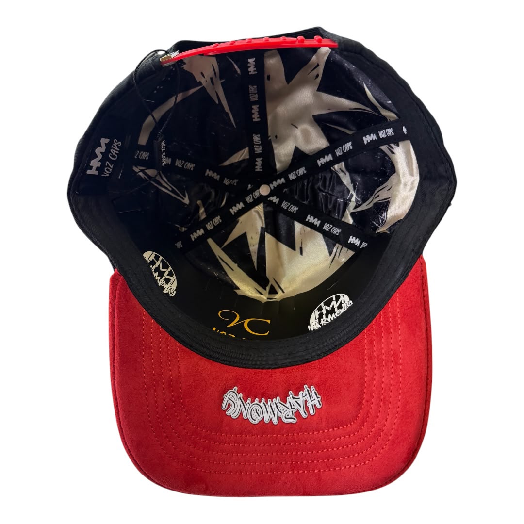HARMONY black & red suede brim trucker hat