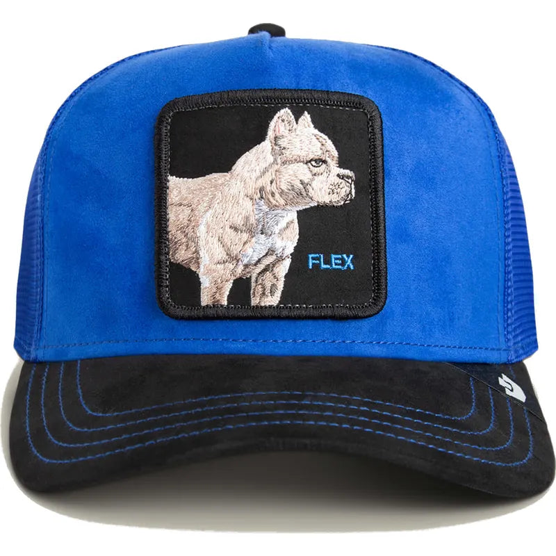 GOORIN 101-2580-ROY02-O/S Suede Pitbull
